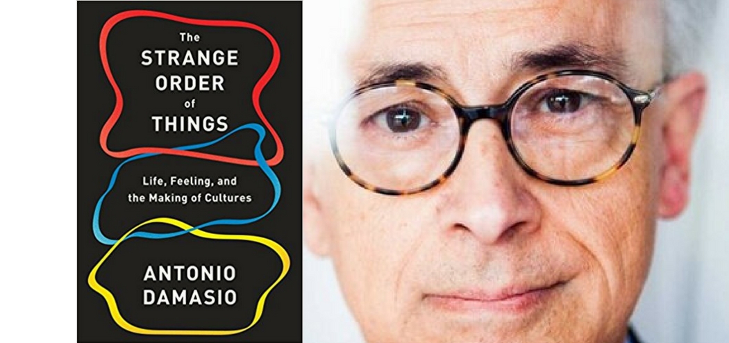 The Strange Order of Things with Antonio Damasio - Roger Dooley